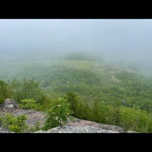 Meet your Posher, English